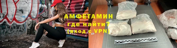молекула духа Арсеньев