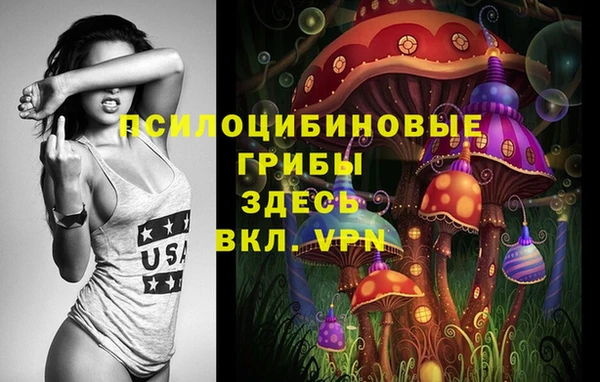 молекула духа Арсеньев