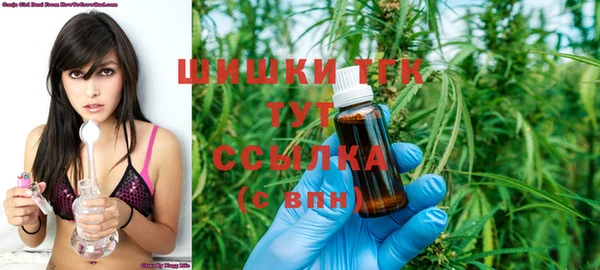 молекула духа Арсеньев