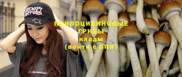 тгк Аркадак